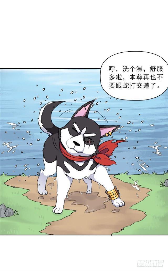 骨皇炼体34