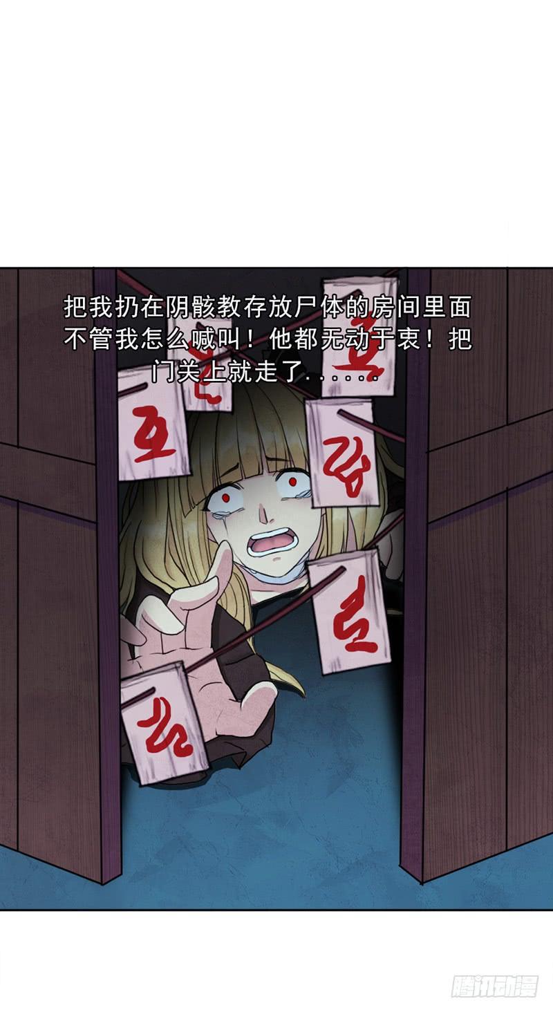 白骑士29