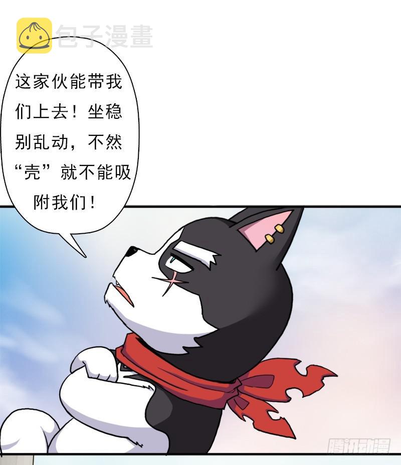 金铃儿30