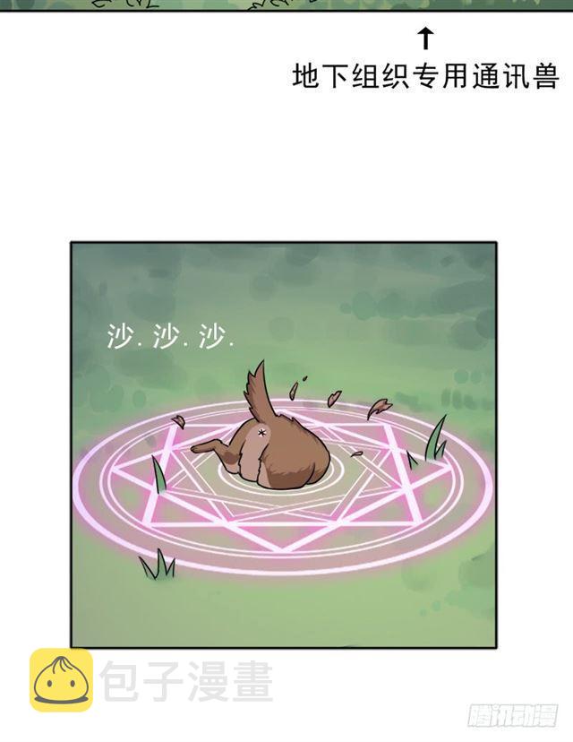 妈妈61