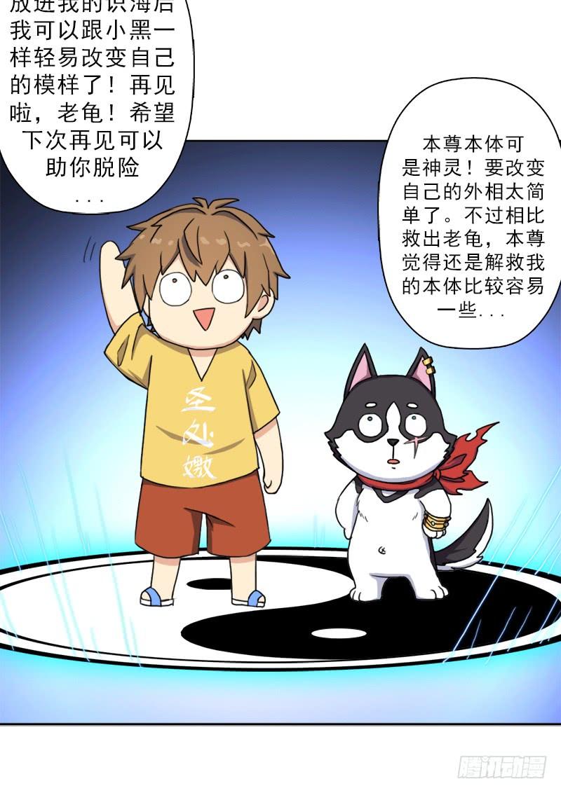 糟老头子坏得很62