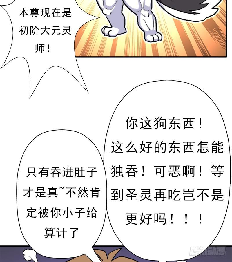 金蟾大人58