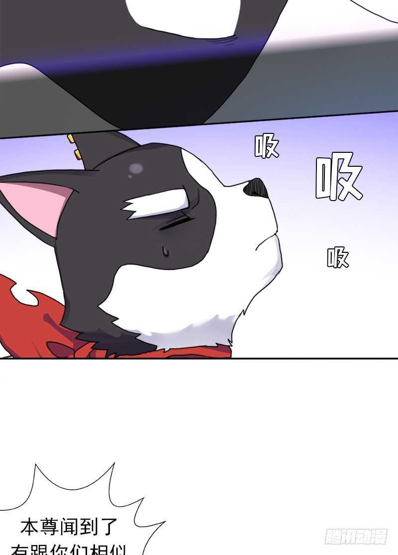 闯入强盗窝49