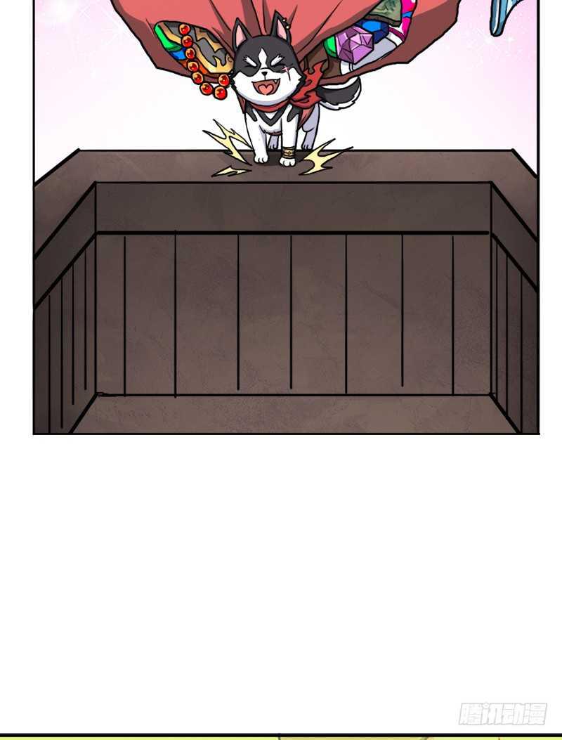 黑熊VS花衣42