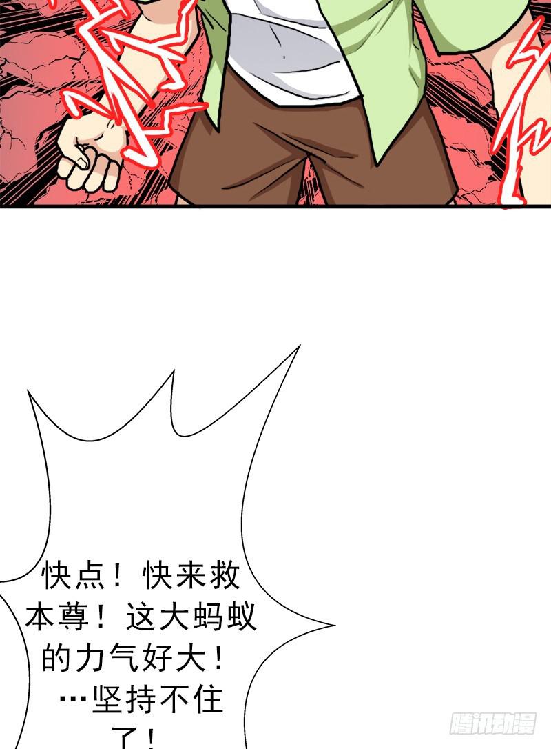 大神！请收我爲徒19