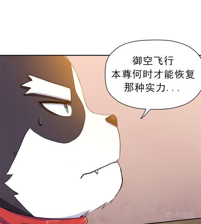 被污染的圣体15