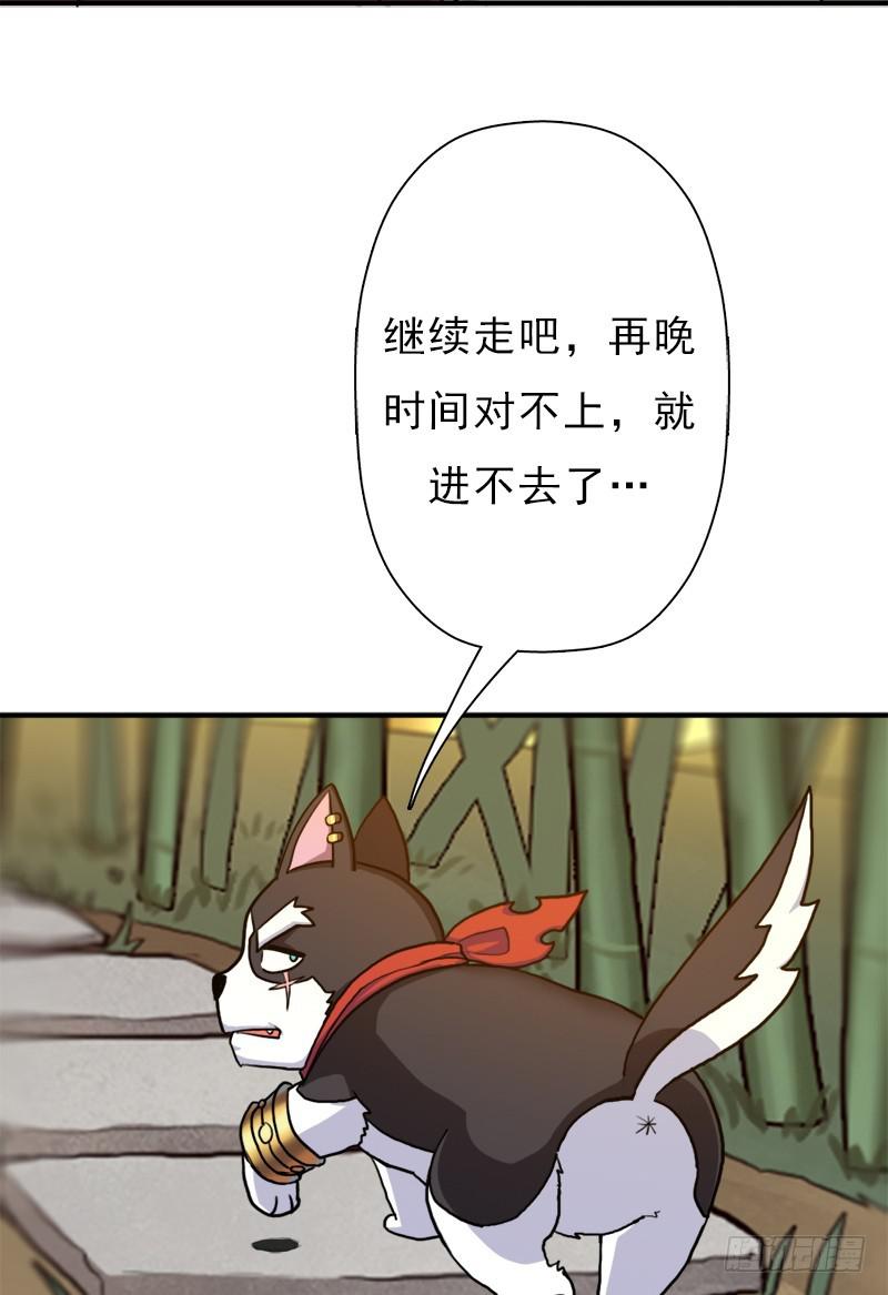 金蟾大人51