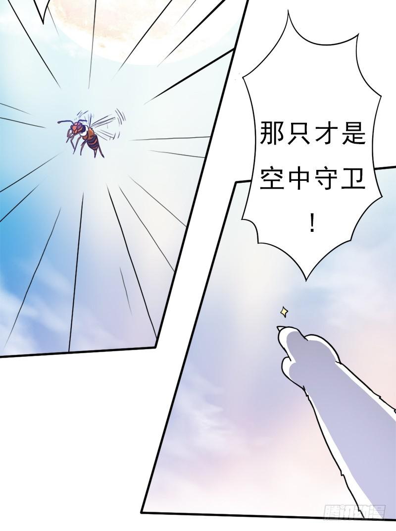 金铃儿56
