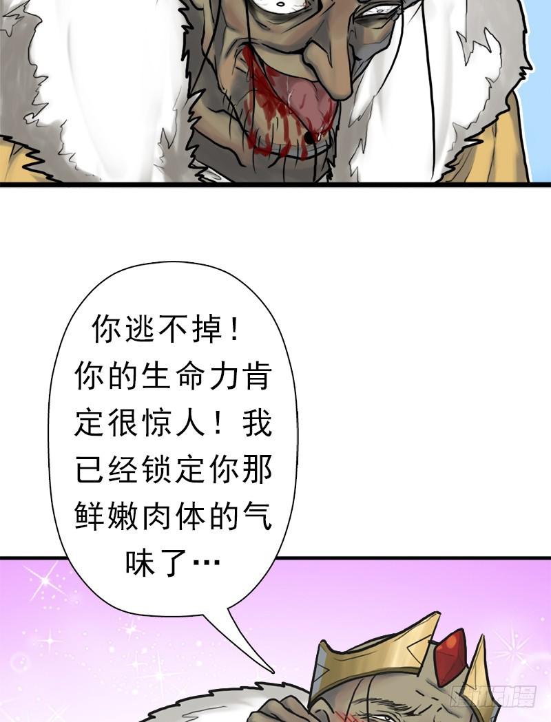 阳谋22
