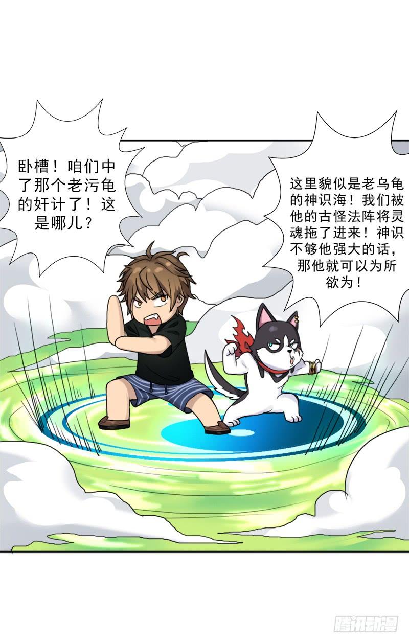 糟老头子坏得很8
