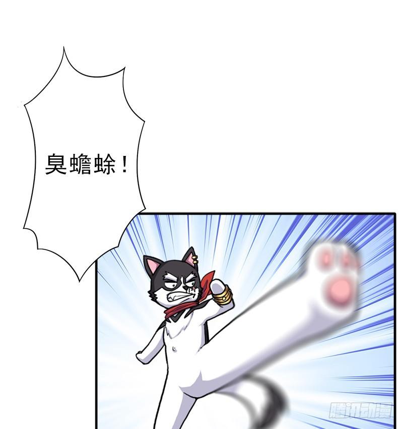 金蟾大人62