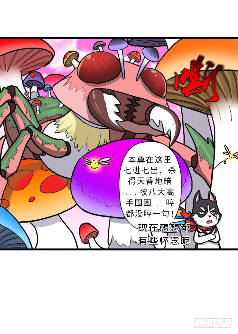 大神！请收我爲徒16