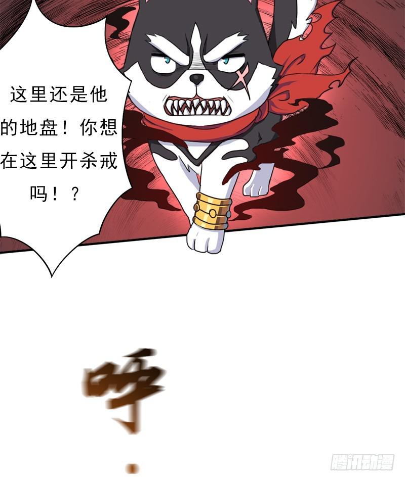 金蟾大人44