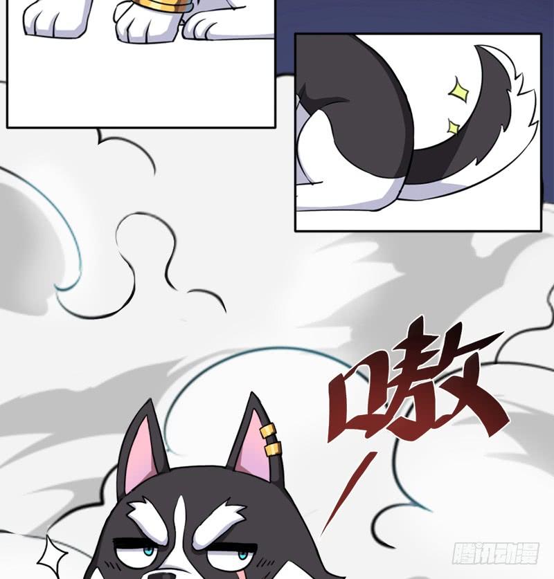 邪尊与女神曦5