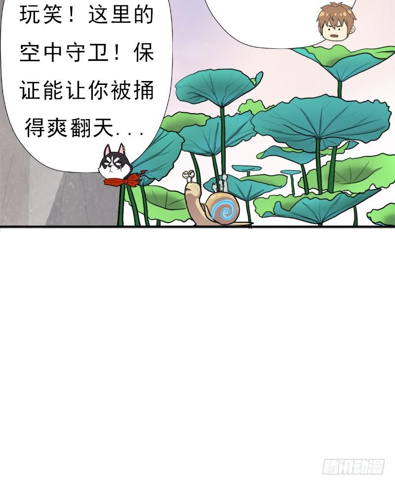 金铃儿29