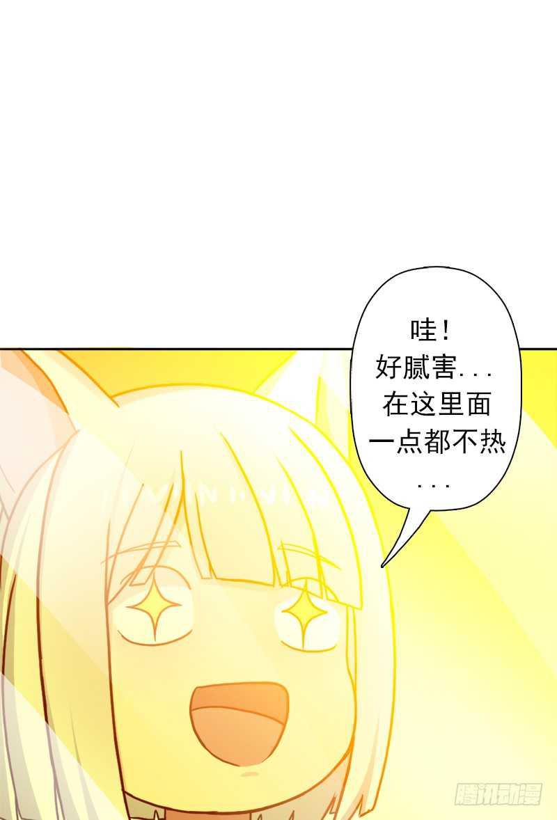 黑熊VS花衣67