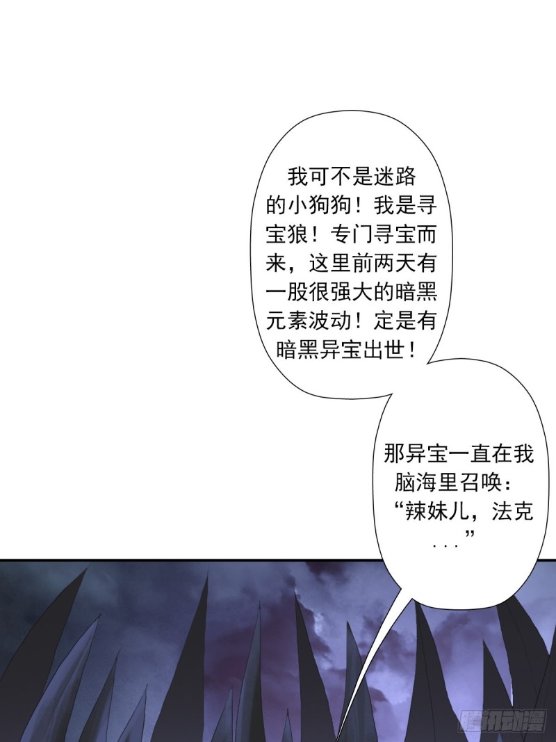 （第二季）野生的小狗狗40
