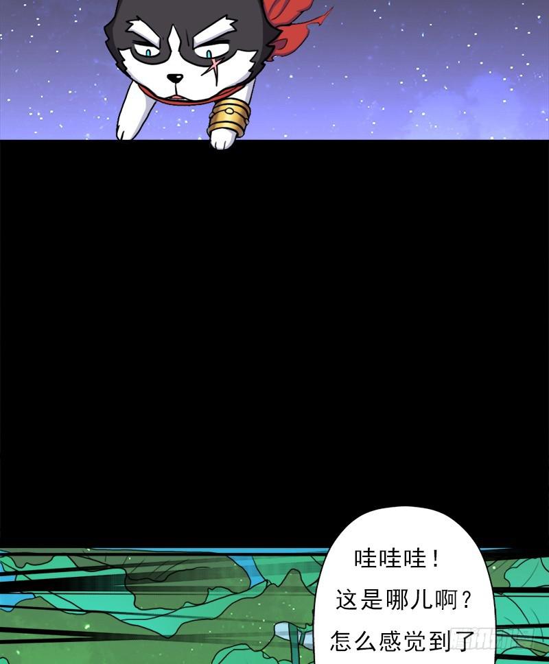 金铃儿10