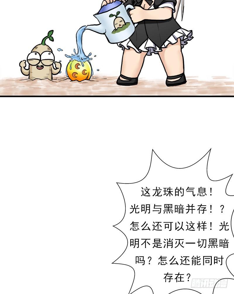飞来艳福5