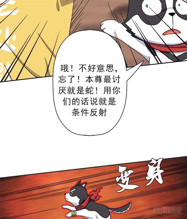 火狱43