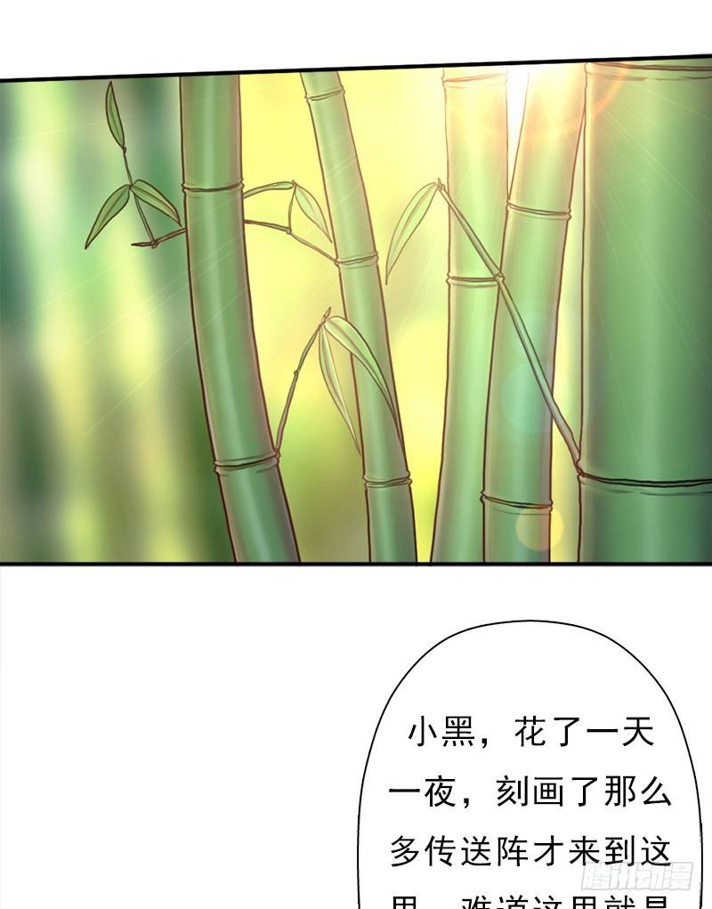 金蟾大人36