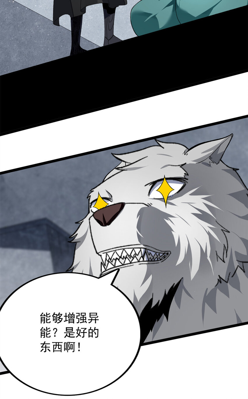 19 狼人变身22