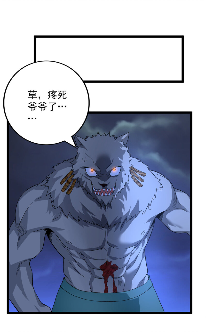 37 狼人26