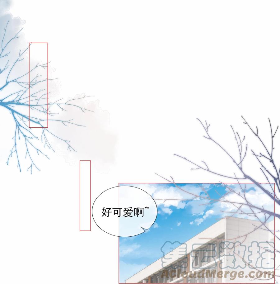 031 粉色的兔子2
