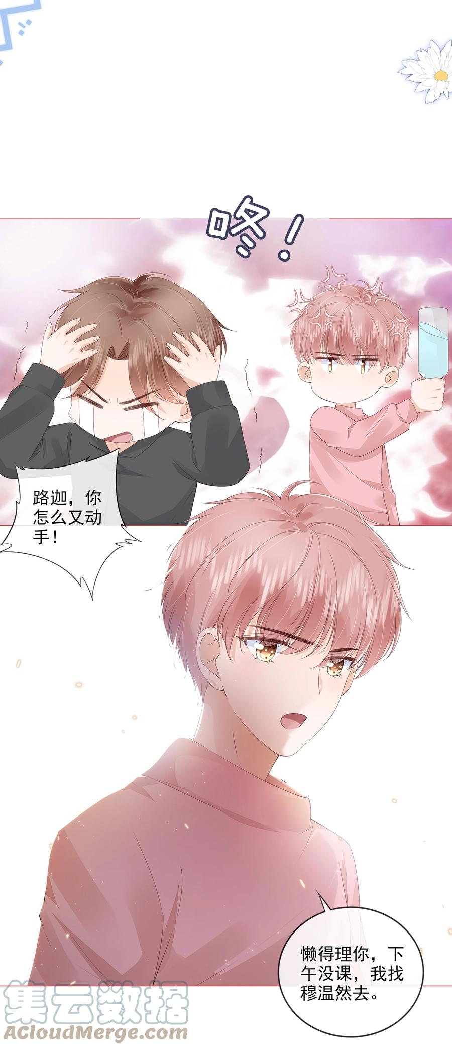 031 粉色的兔子6