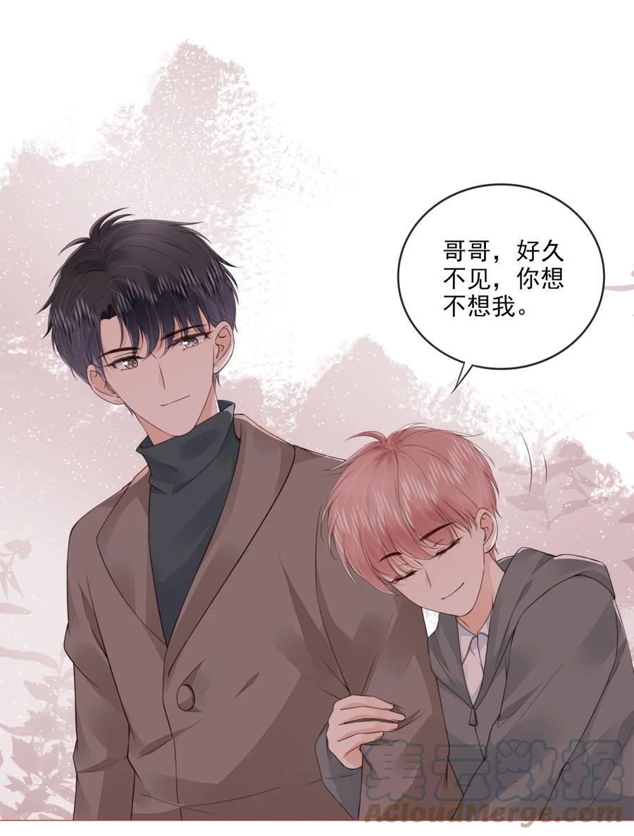 031 粉色的兔子34