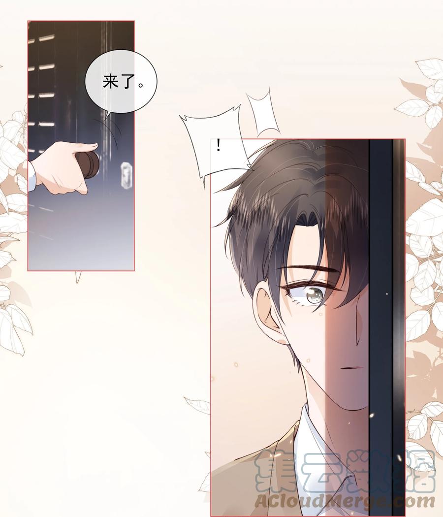 031 粉色的兔子16