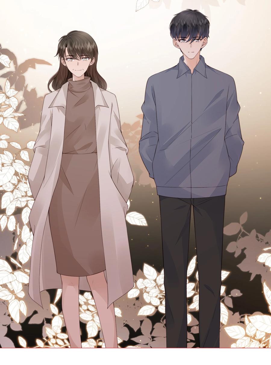 031 粉色的兔子17