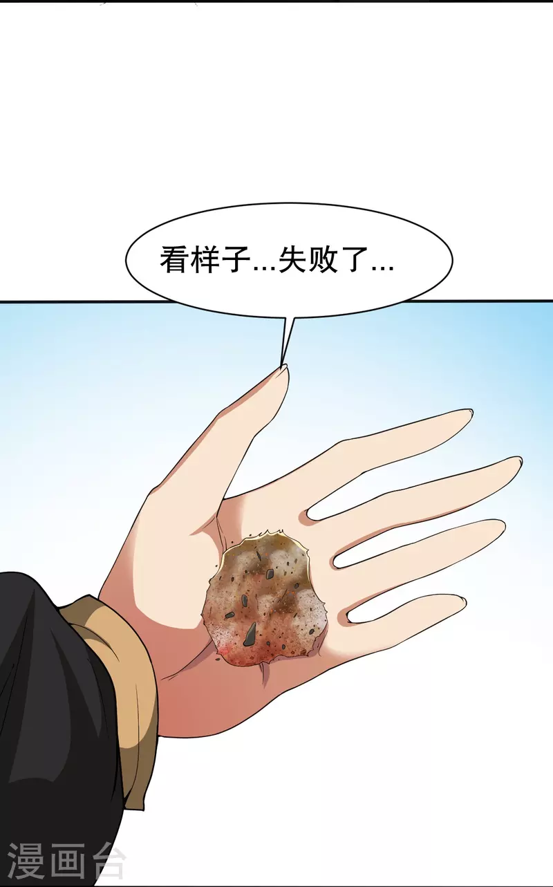第333话 联手炼丹28
