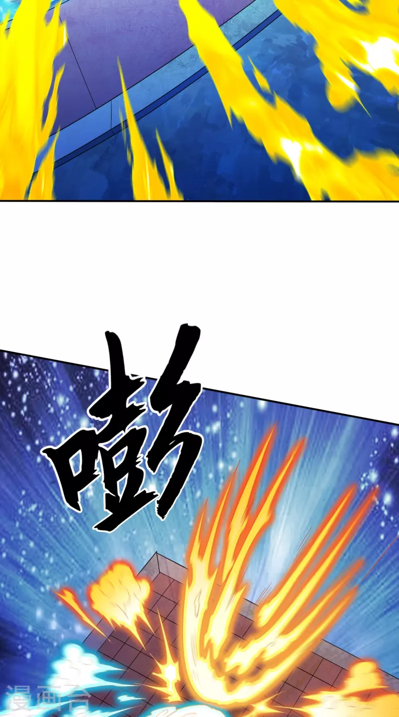第335话 金丹期19