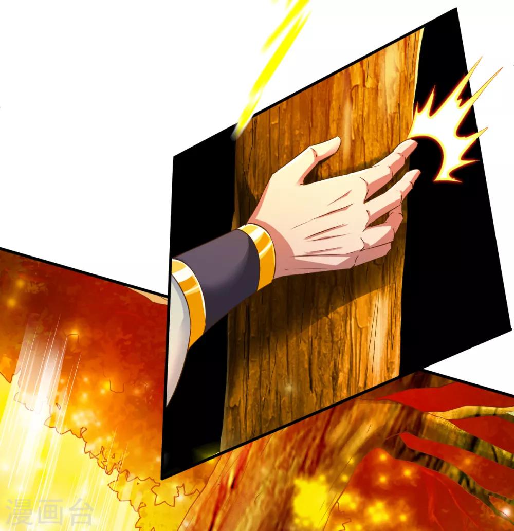 第61话 秘宝27
