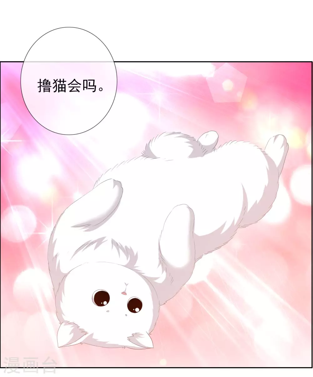 第18话 带薪撸猫23