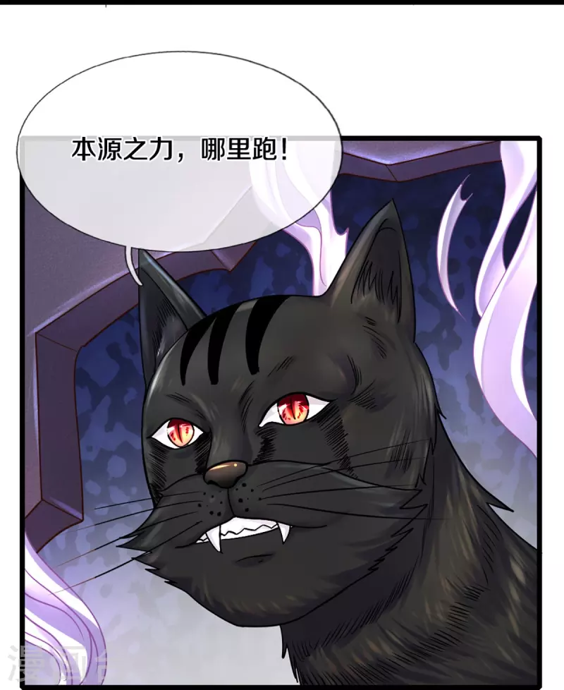第246话 冤家路窄16