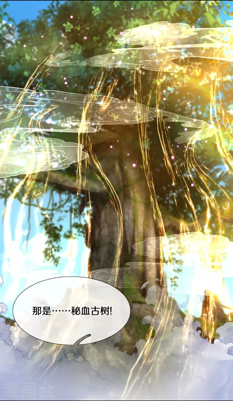 第233话 福地or死地11