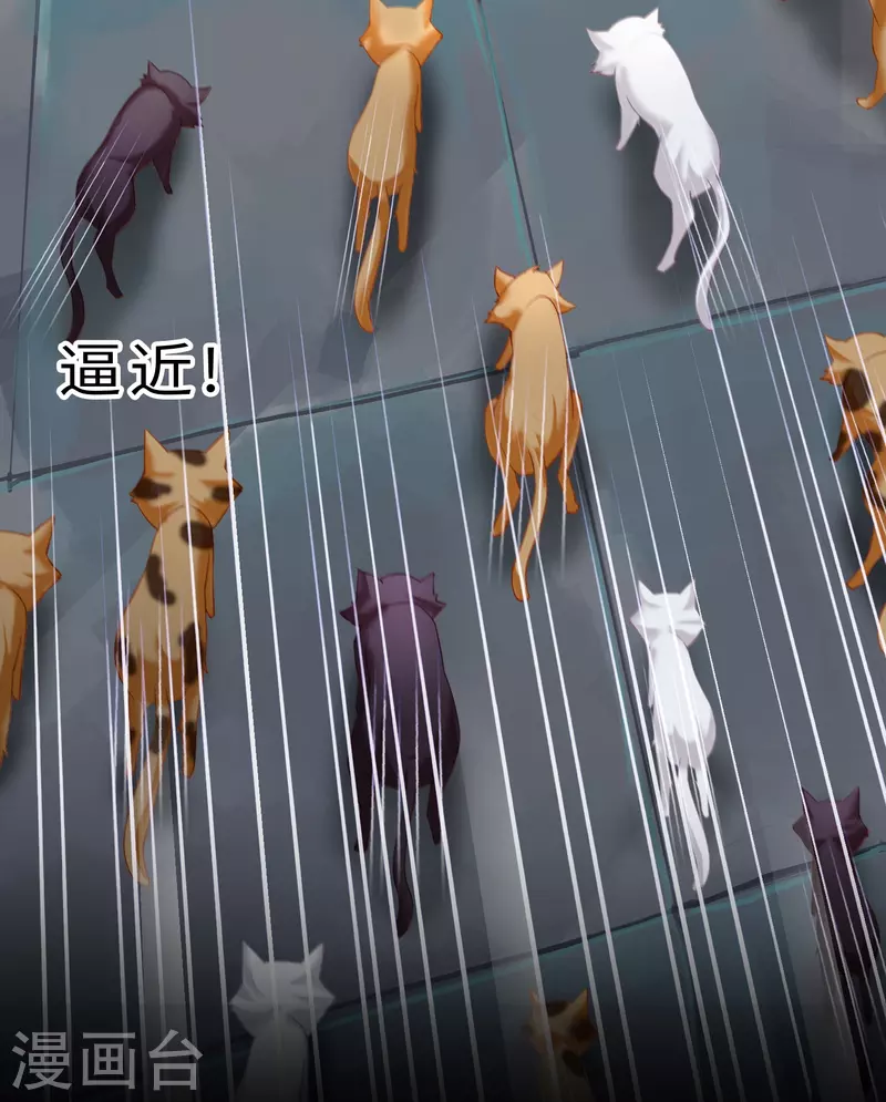 预告12