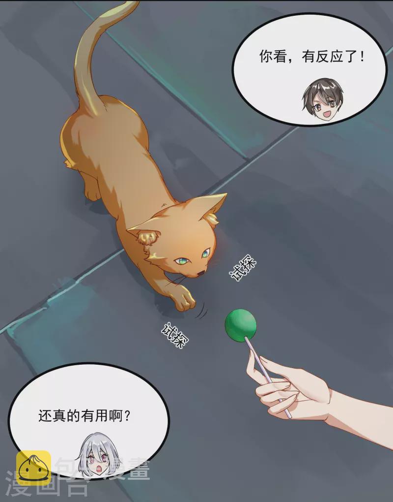 预告5