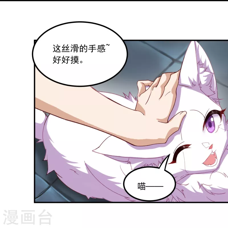 第3话 捡到神秘猫10