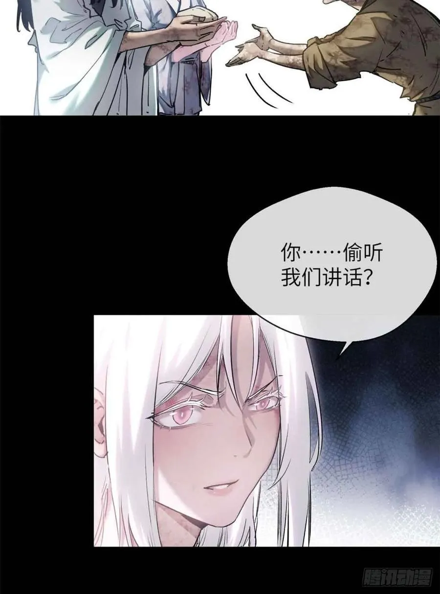 15 丹方11