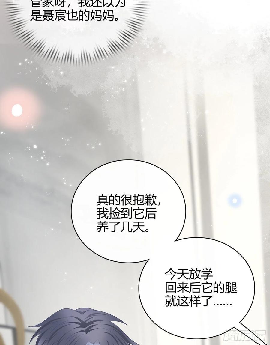 幸福来得太突然了11