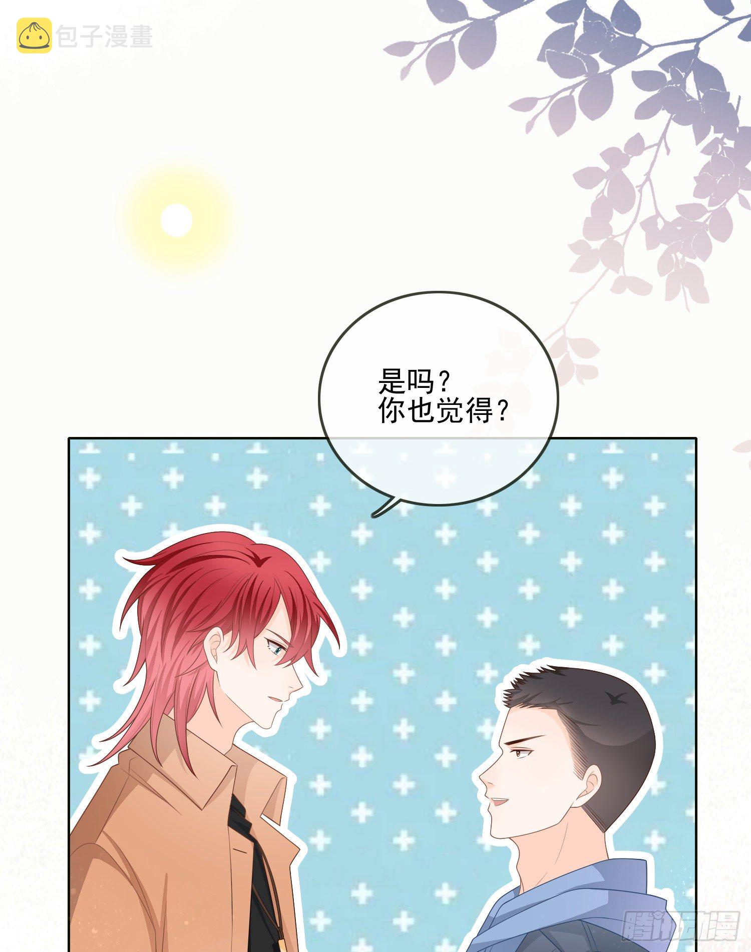 挖墙脚的狗6