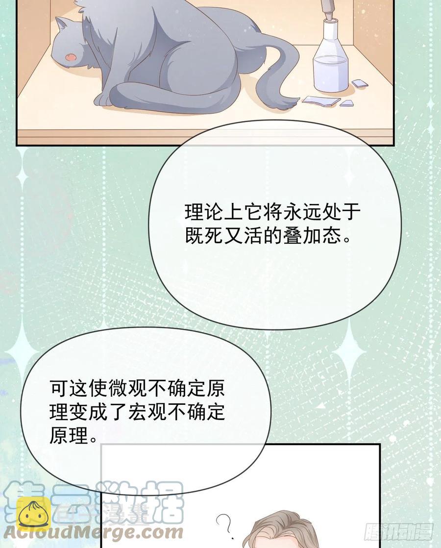薛定谔的猫24