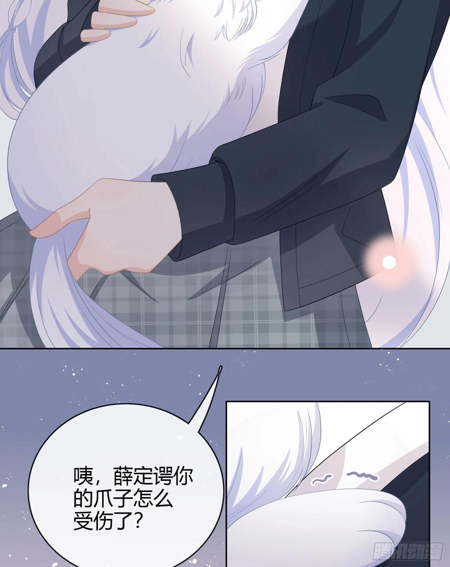 绿茶终结者35