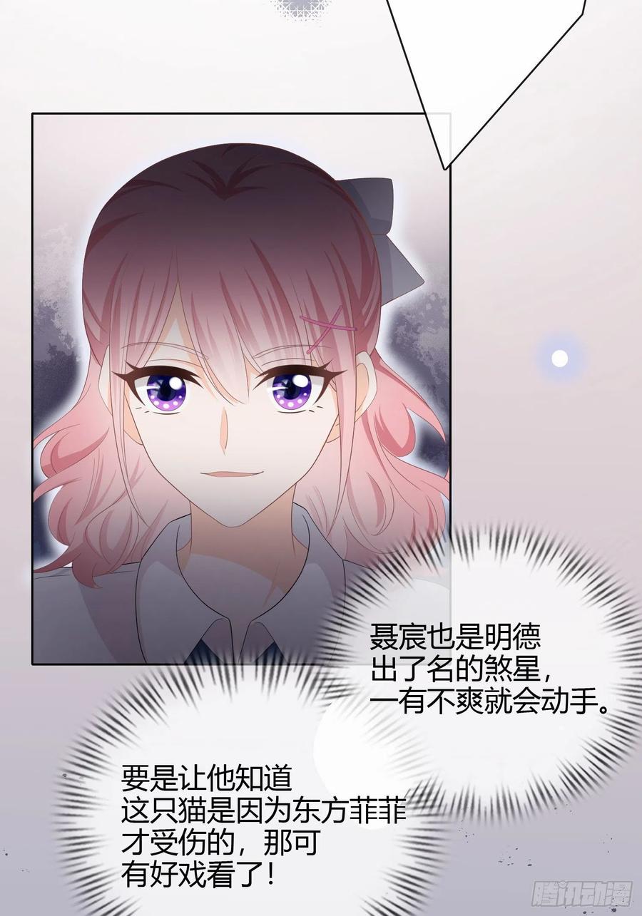 绿茶终结者25