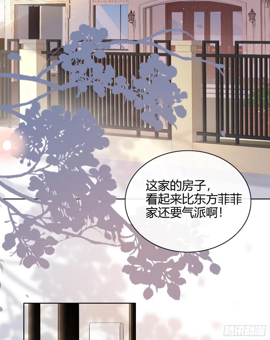 绿茶终结者17