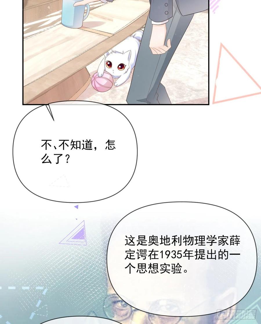 薛定谔的猫20