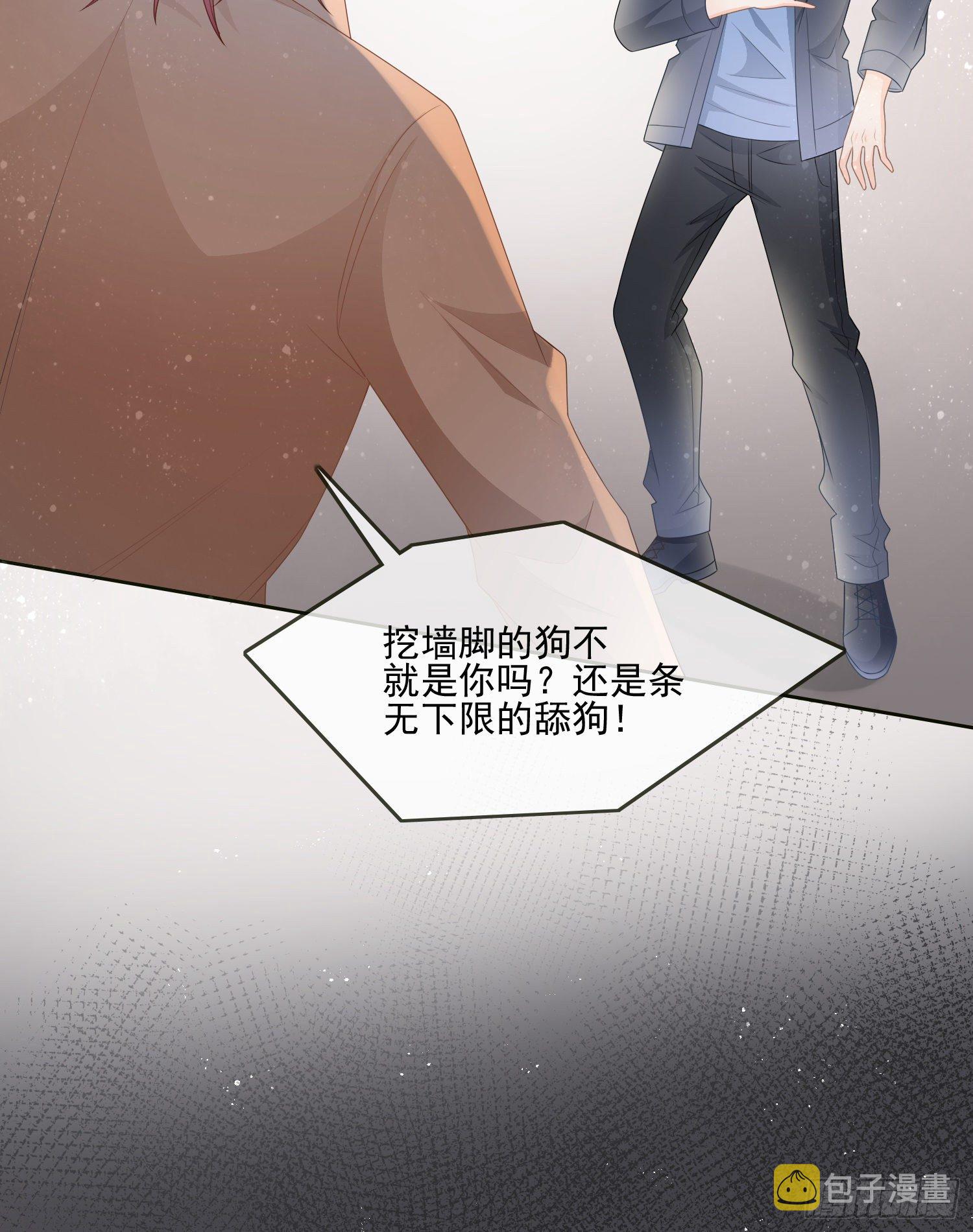 挖墙脚的狗10